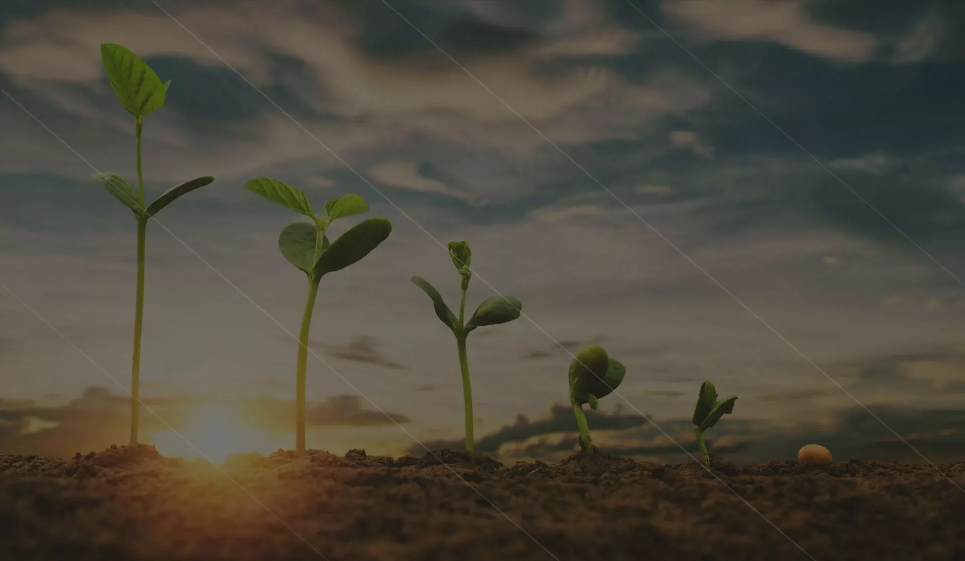 Farm Equipment Background